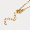 Shell Necklace sold by Selenichast
