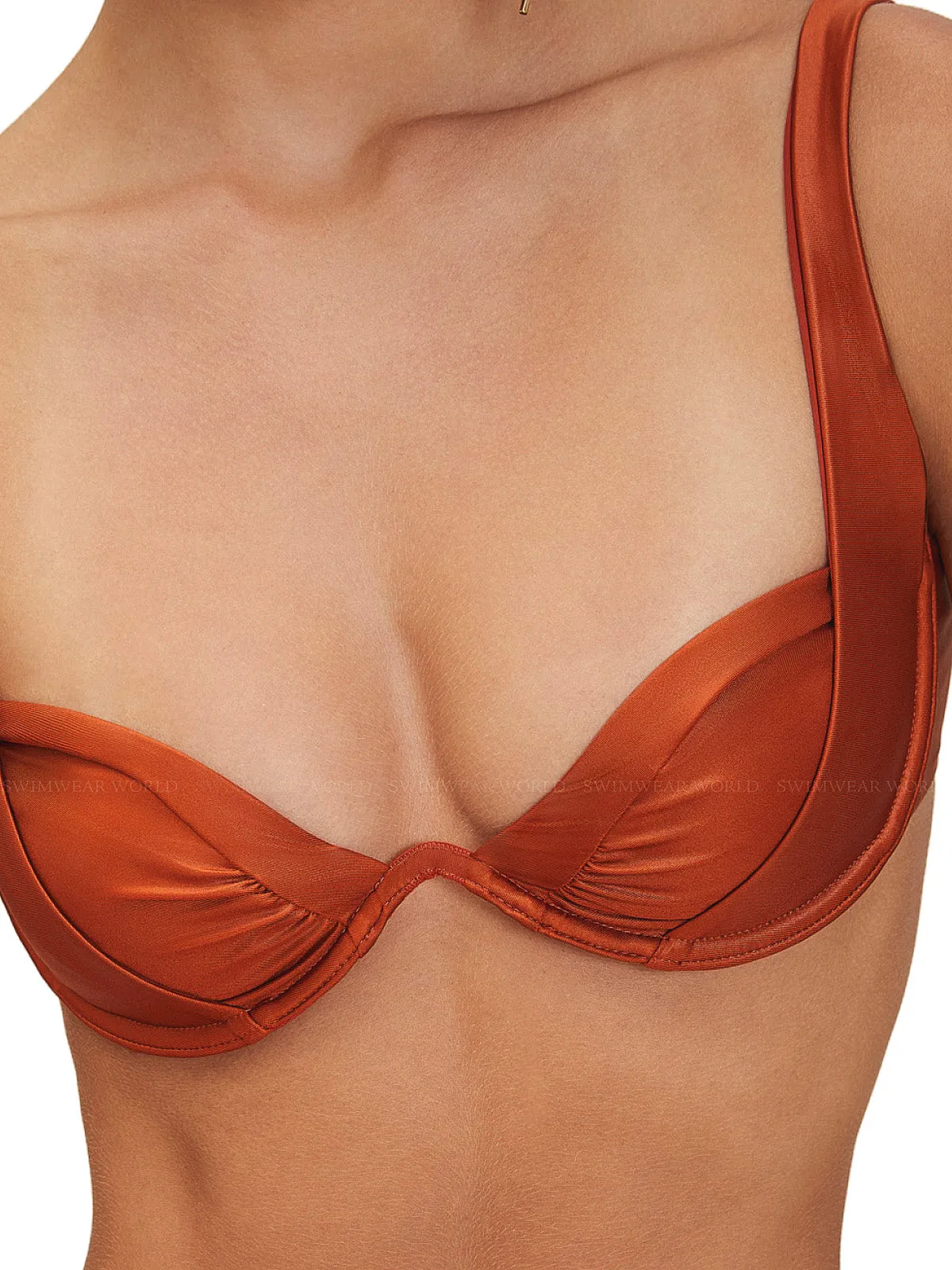Cameron-Carter Bikini sold by SWORLD Inc product image thumbnail 3