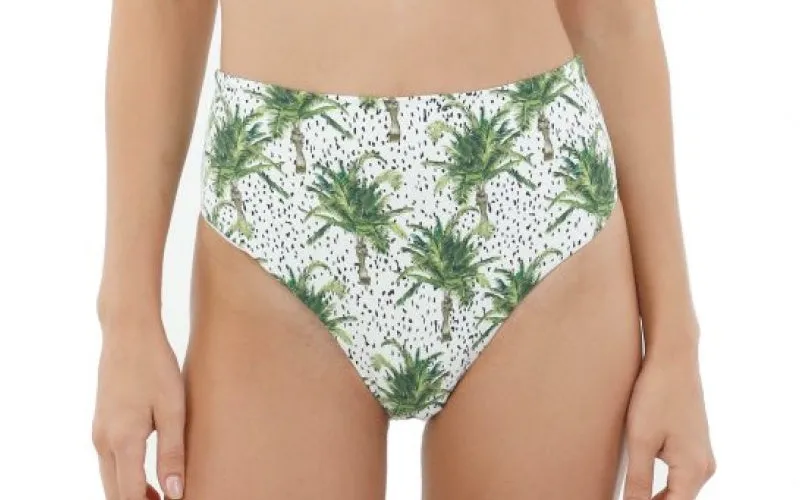 Kentia Palm Crown-Kentia Palm Moon Bay Bikini sold by SWORLD Inc product image thumbnail 4