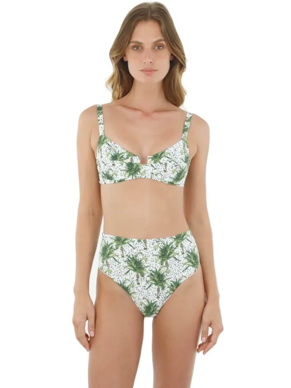 Kentia Palm Crown-Kentia Palm Moon Bay Bikini sold by SWORLD Inc