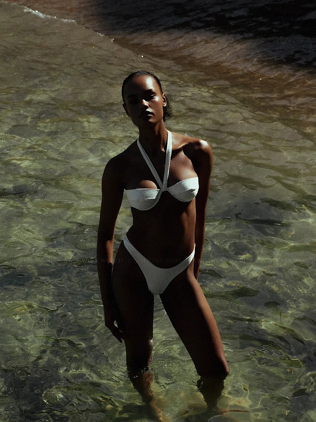 Jade-Lily Bikini sold by SWORLD Inc product image thumbnail 4