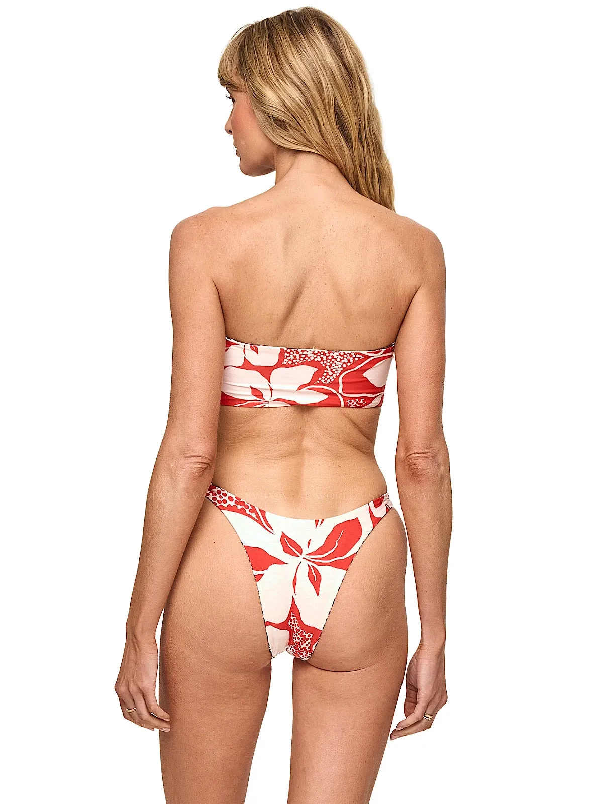Avalon-Damian Bikini sold by SWORLD Inc product image thumbnail 4