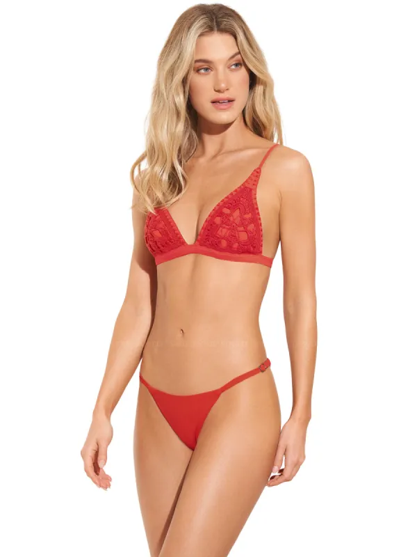 Red Camellia Ivy-Red Camellia Flash sold by SWORLD Inc