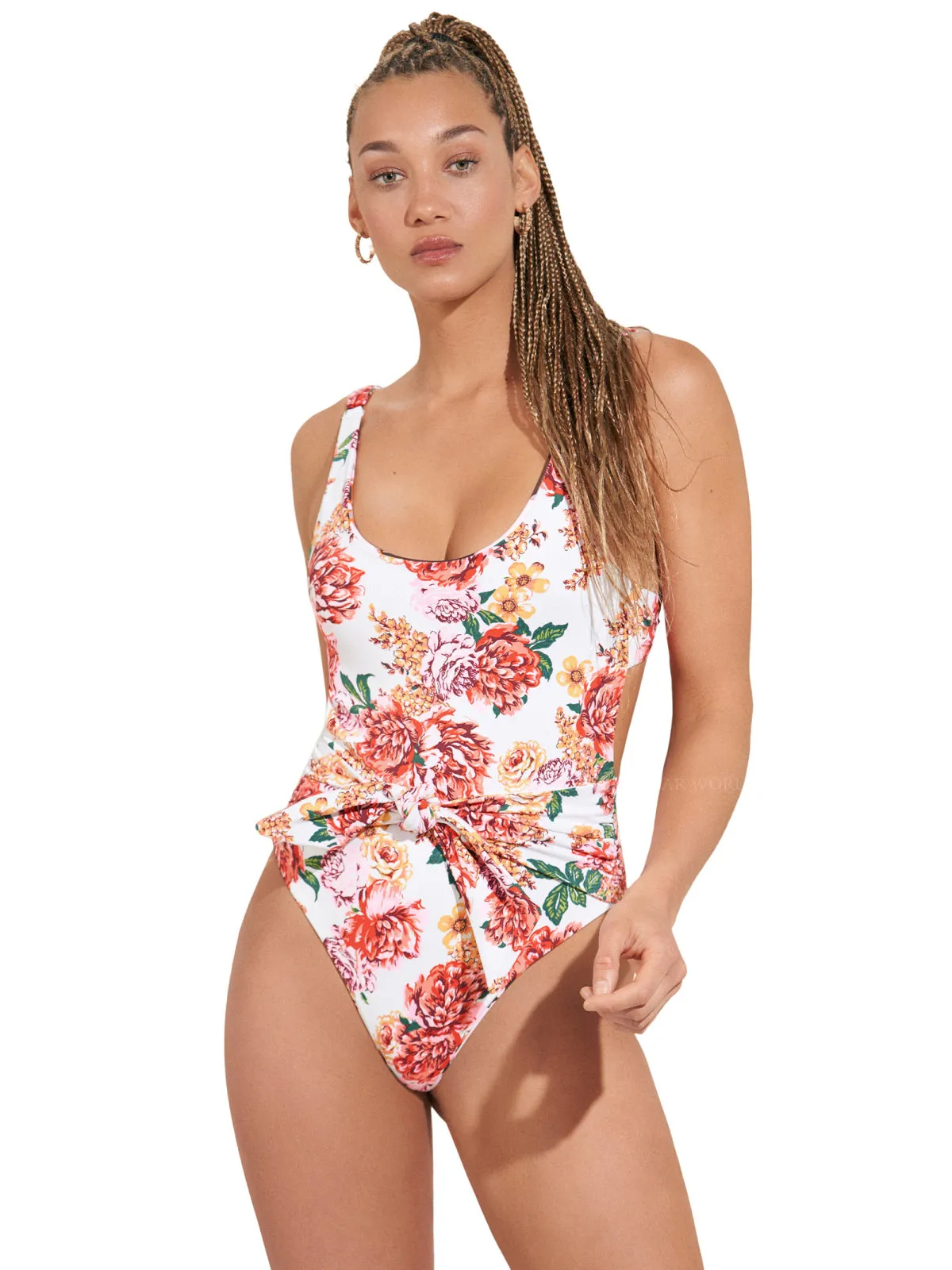 Carnation Sunshy sold by SWORLD Inc product image thumbnail 3