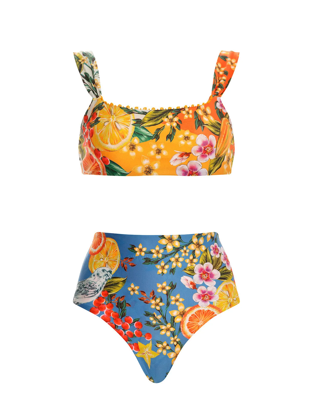 Sele-Alicia Bikini sold by SWORLD Inc product image thumbnail 5