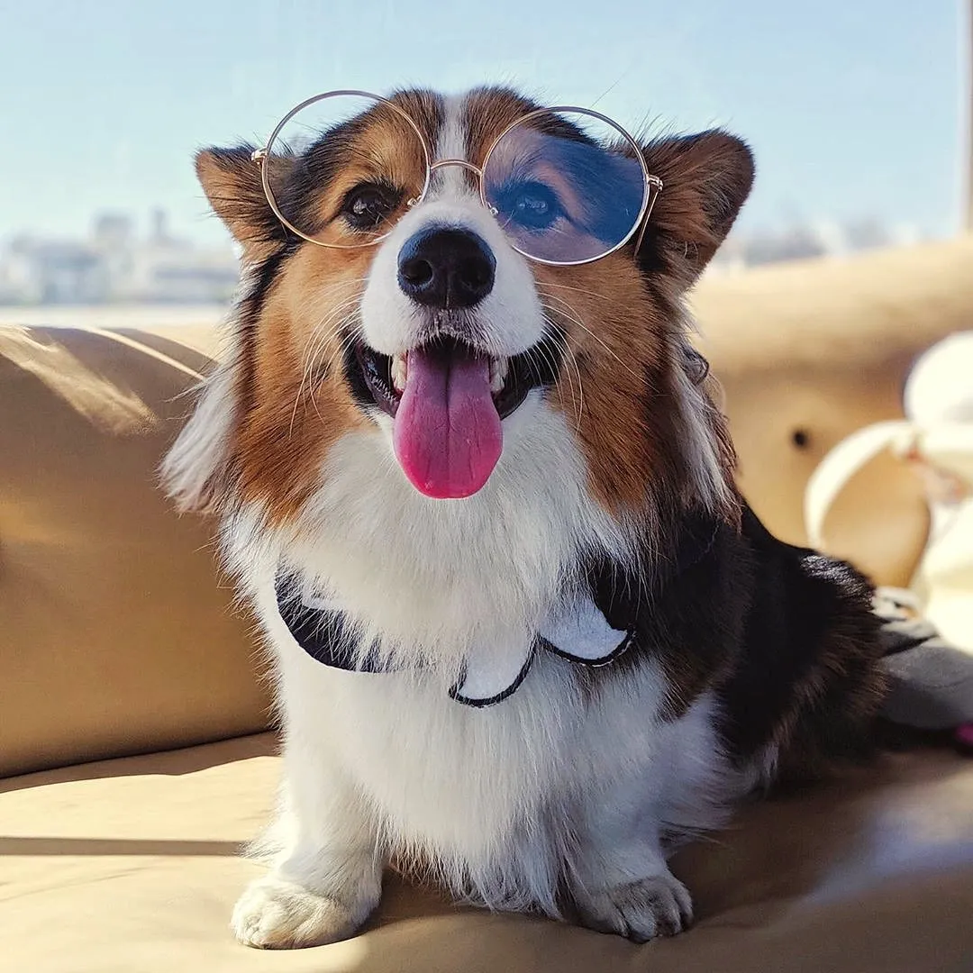 Vintage Lennon Inspired Clear Lens Round Frame Glasses 9222 sold by ZeroUV product image thumbnail 4