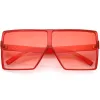 Women's Oversize Festival Color Tone Square Sunglasses C581 sold by ZeroUV