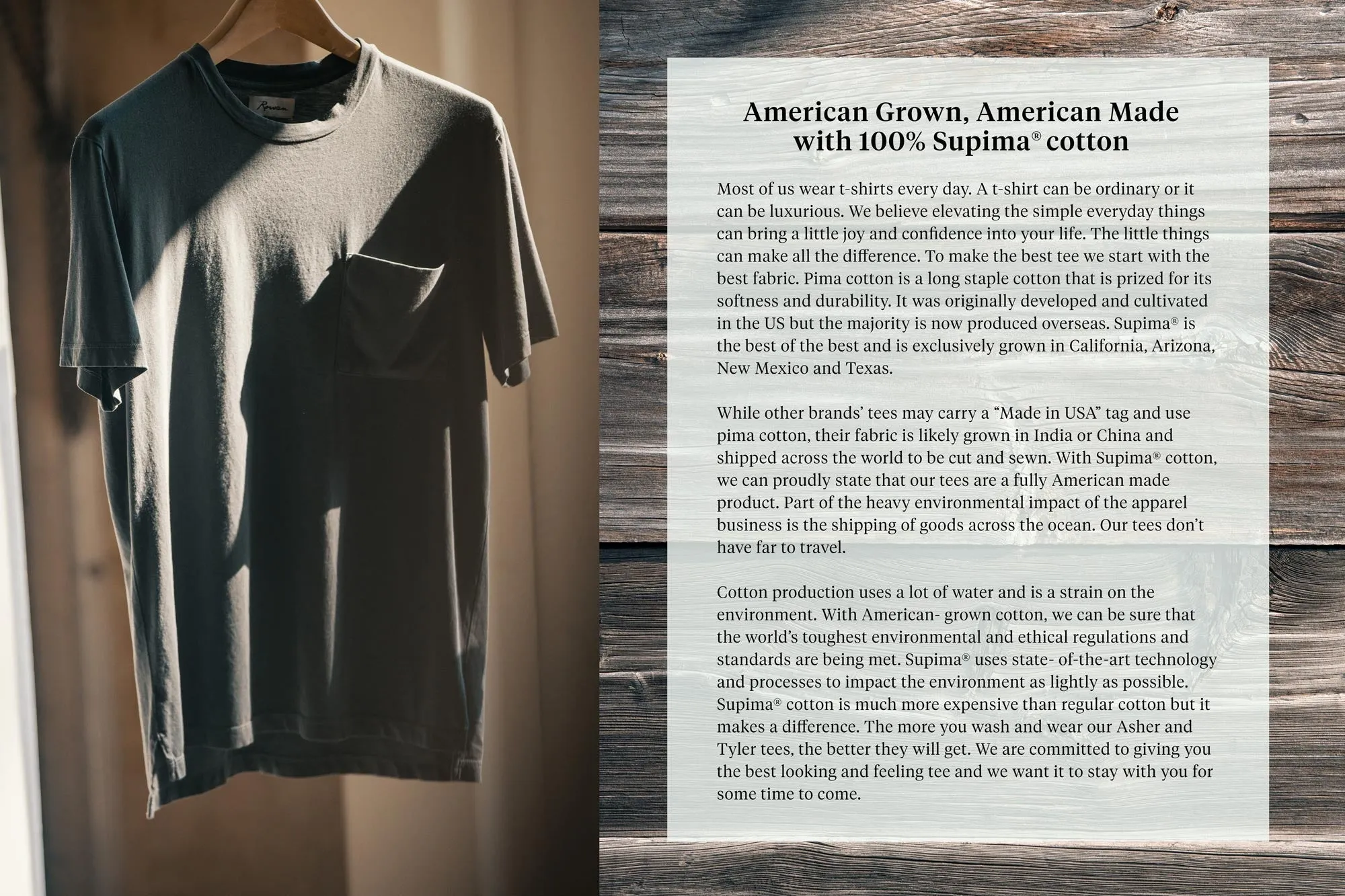 ASHER POCKET TEE - MOSS sold by Cave and Post product image thumbnail 5