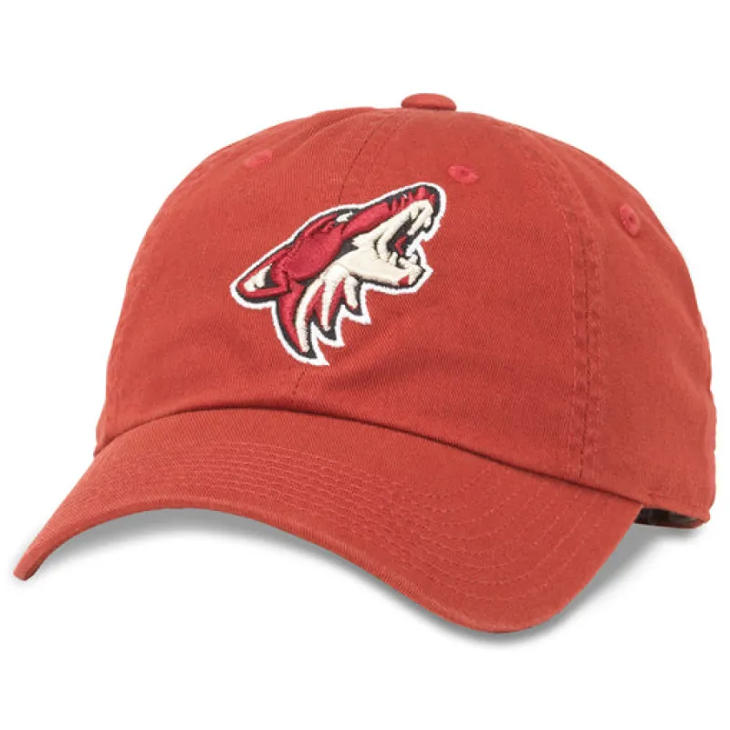 Blue Line PHOENIX COYOTES sold by Cave and Post