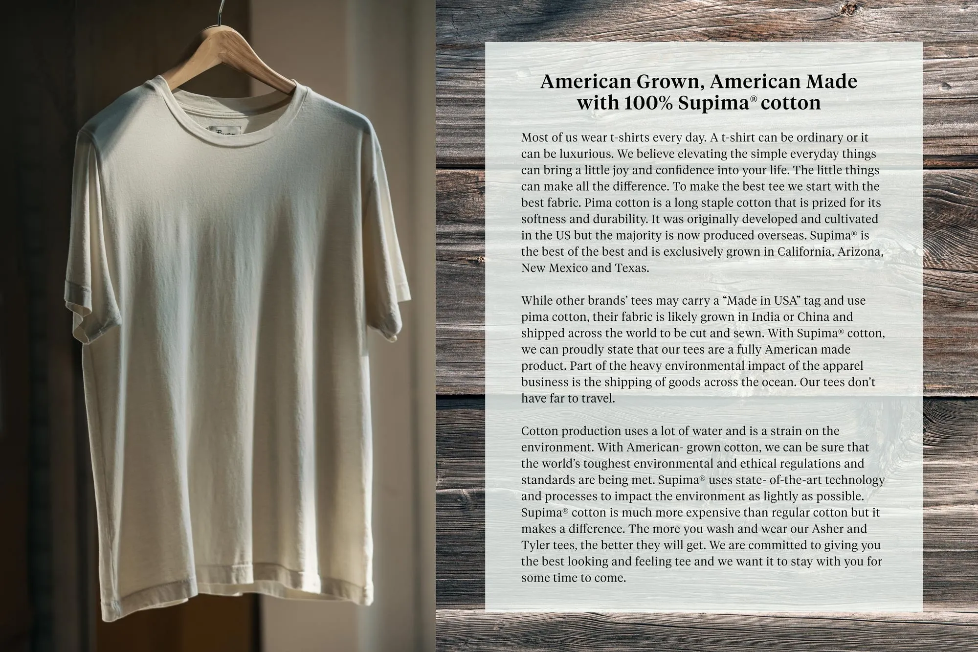 ASHER STANDARD TEE - HARVEST sold by Cave and Post product image thumbnail 3