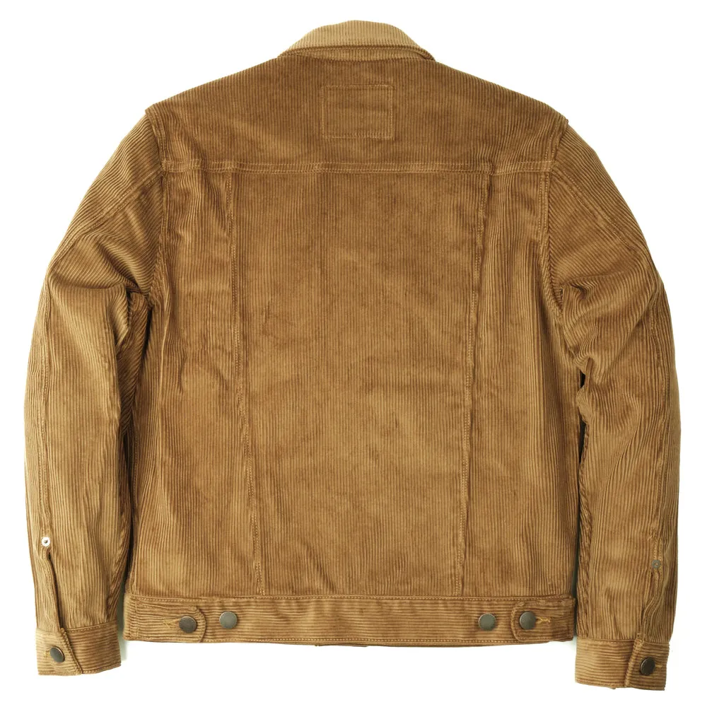 CLASSIC CD-1 JACKET - GOLD CORDUROY sold by Cave and Post product image thumbnail 3