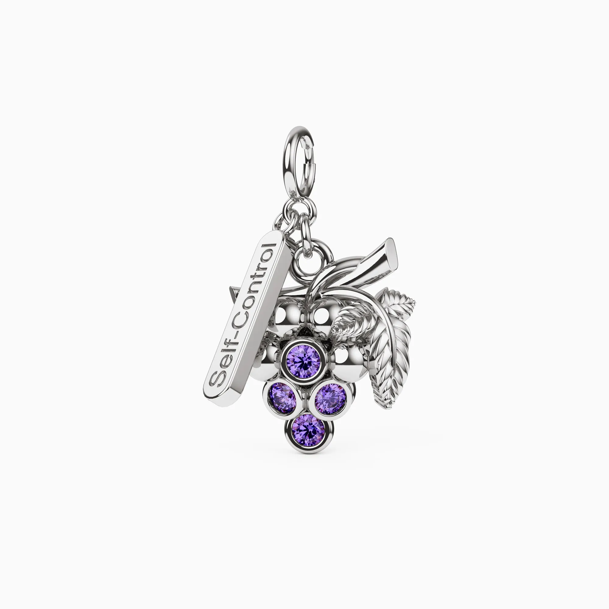 Fruits of The Spirit Self-Control Grape Charm sold by Vanimy Jewelry product image thumbnail 5
