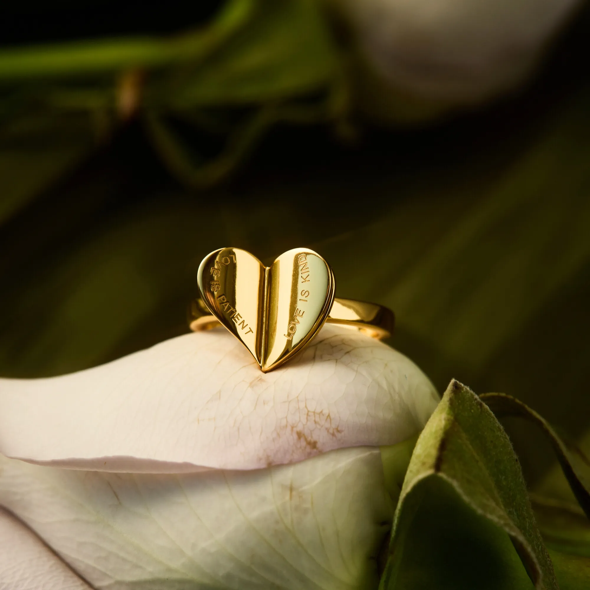 Chapters of Love Engraved Statement Ring sold by Vanimy Jewelry product image thumbnail 4