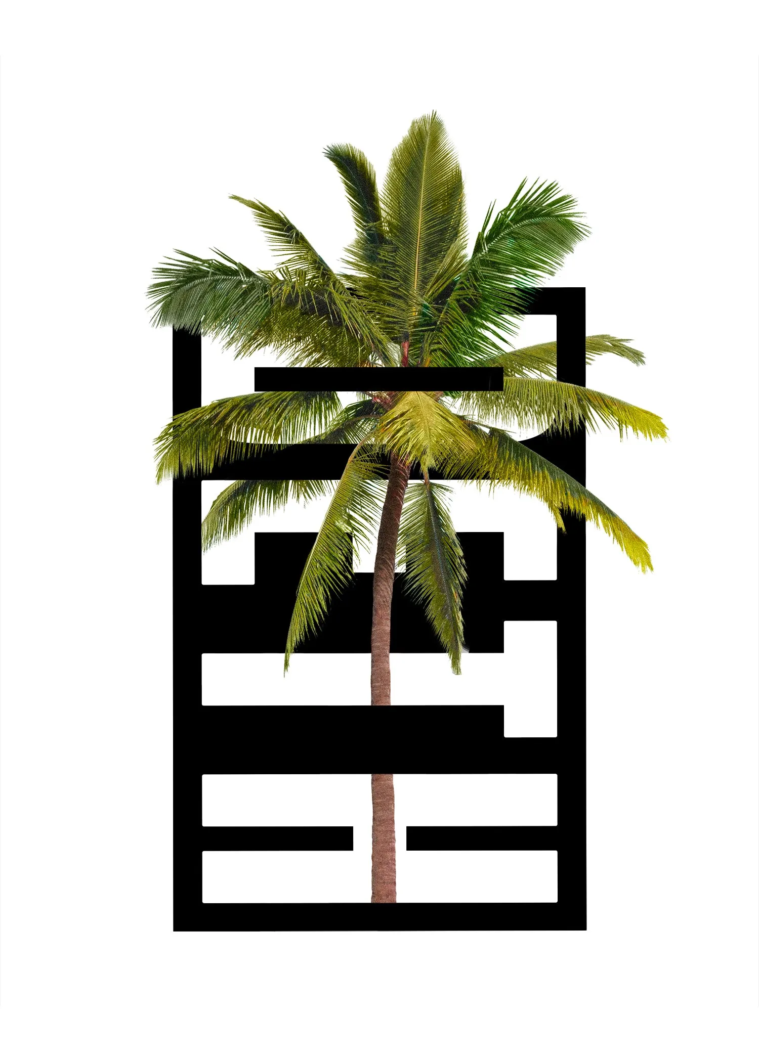 PALMS TEE sold by Dont Eat the Homies product image thumbnail 2