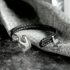 Anchor Skull Double Braided Leather Bracelet sold by GTHIC