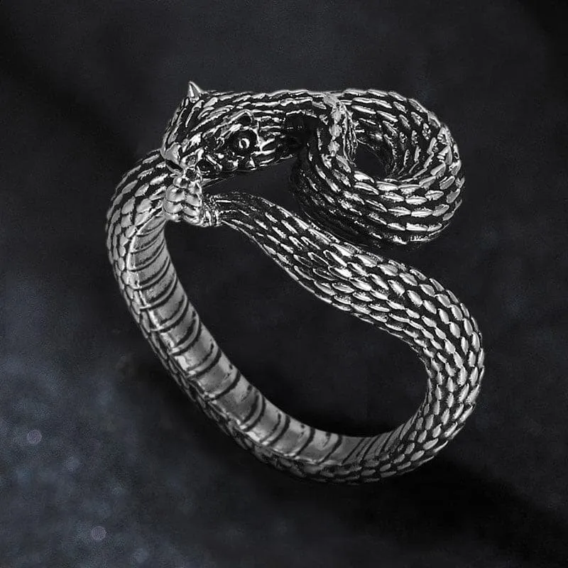 Entwined Snake Stainless Steel Ring sold by GTHIC