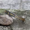 Stamped Futhark Runes Stainless Steel Viking Cuff Bracelet sold by GTHIC