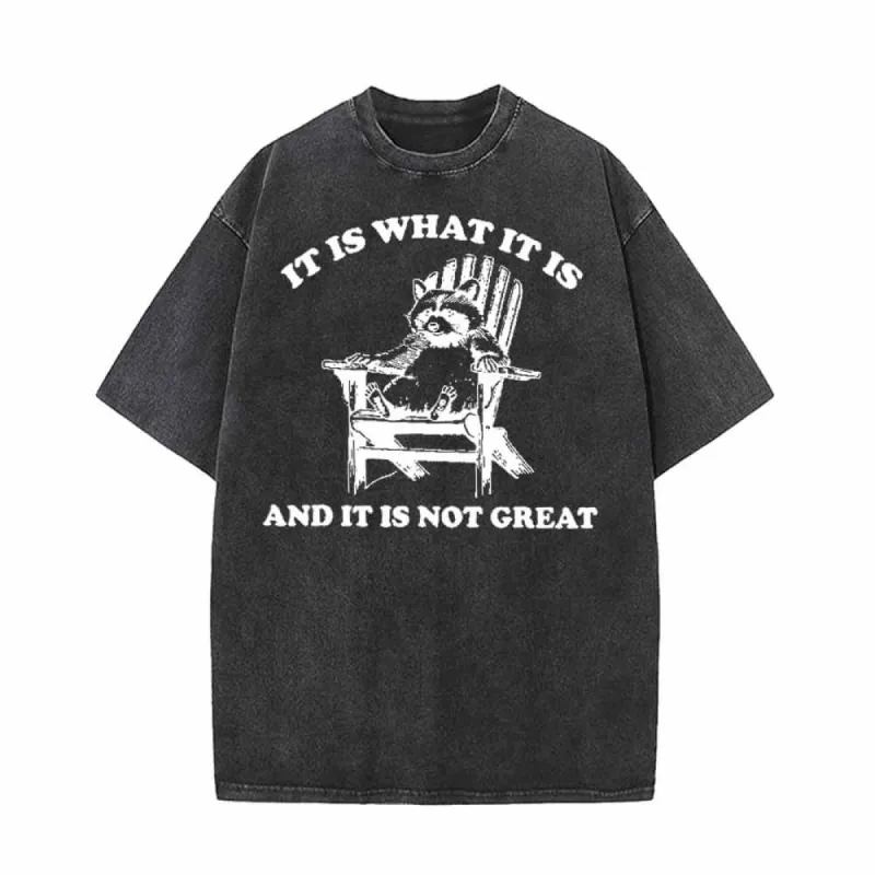 It Is What It Is Raccoon Print Vintage Washed T-shirt sold by GTHIC
