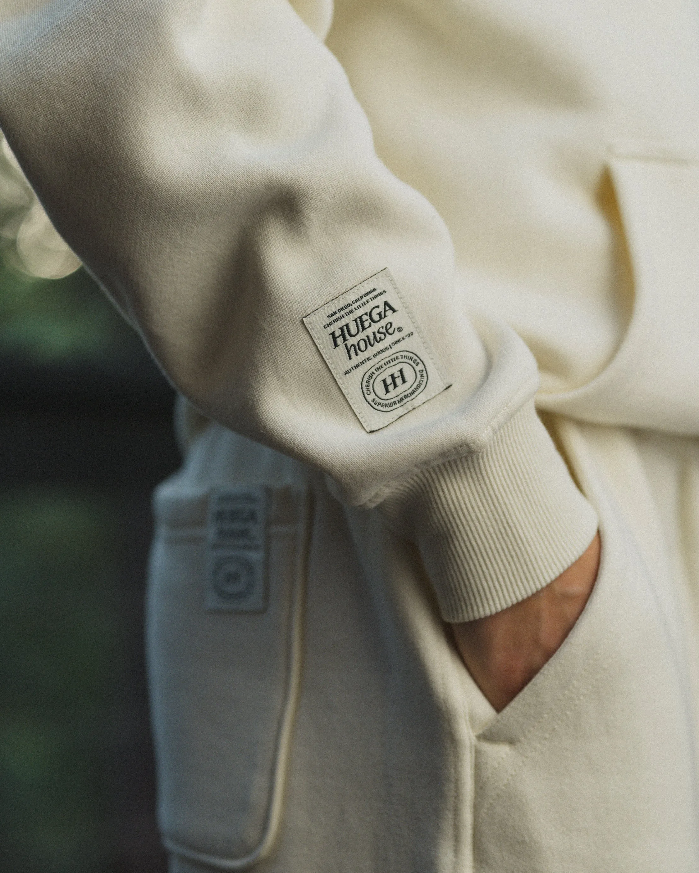 Icon Hoodie | Bone sold by Huega House product image thumbnail 5