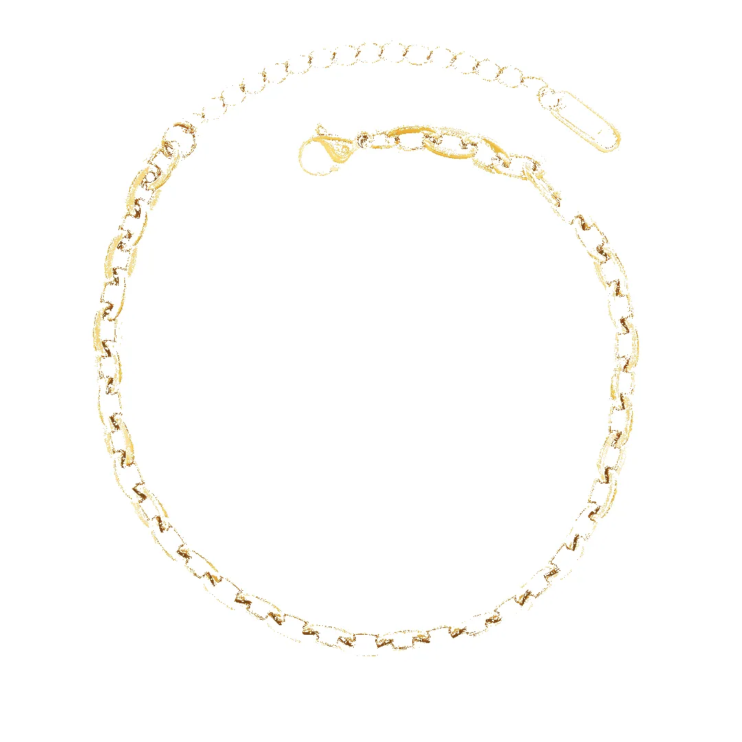 Waterproof Chain Link Anklet (Sample Sale) sold by IceLink