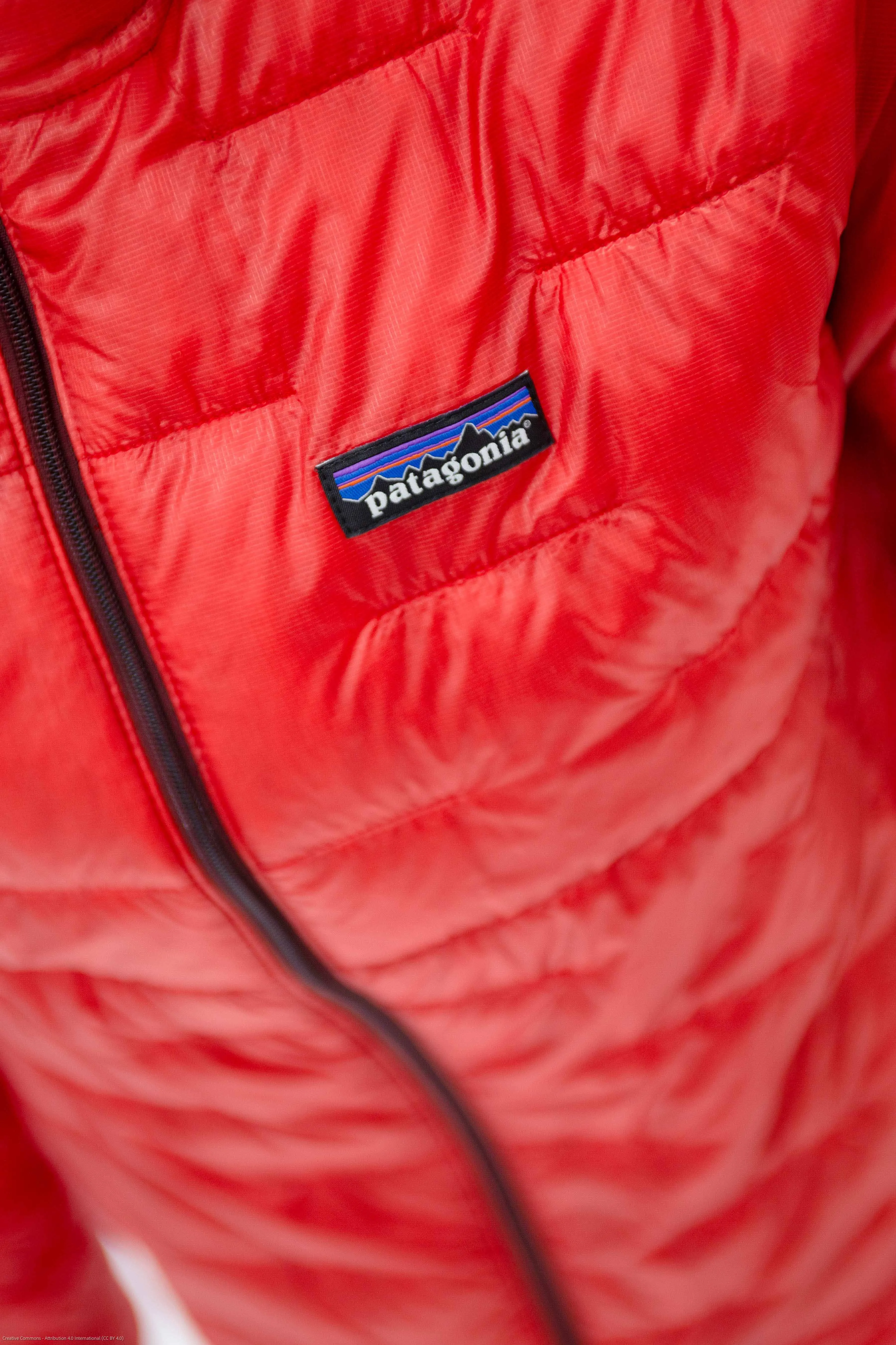 Men's Micro Puff Hooded Jacket sold by Out&Back Outdoor product image thumbnail 3