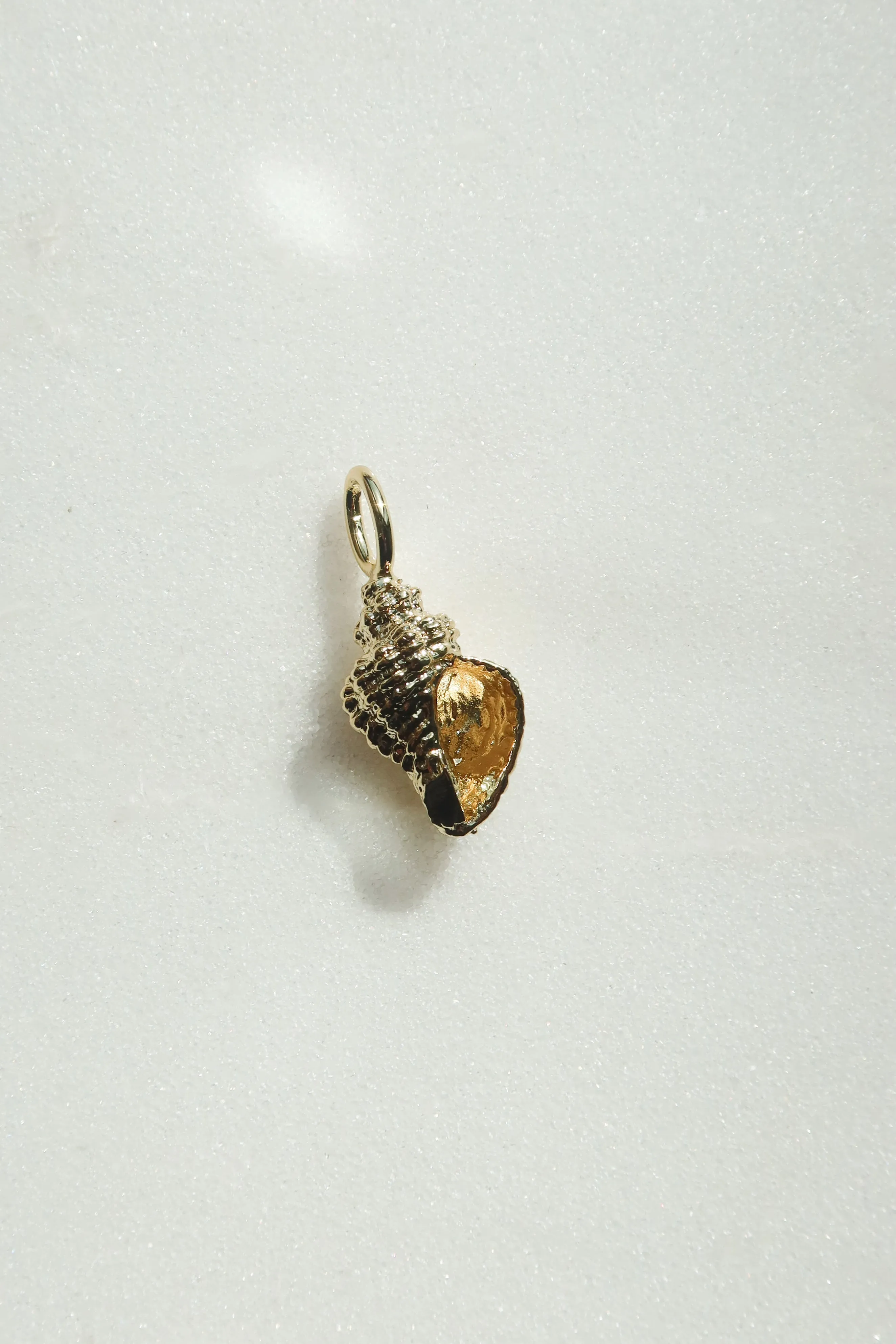 Conch Shell Charm sold by The Sis Kiss