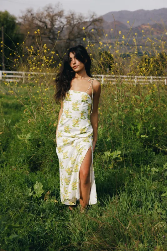 Skye Dress sold by Modatrova