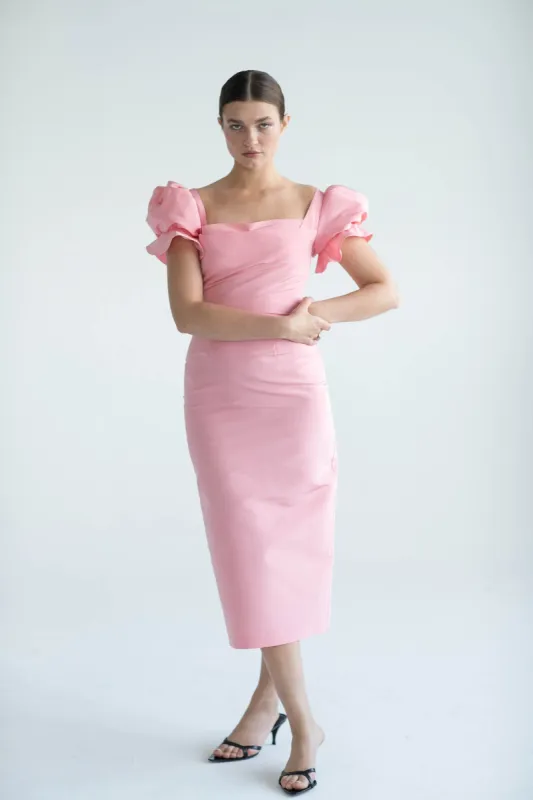 Rosa sold by Modatrova