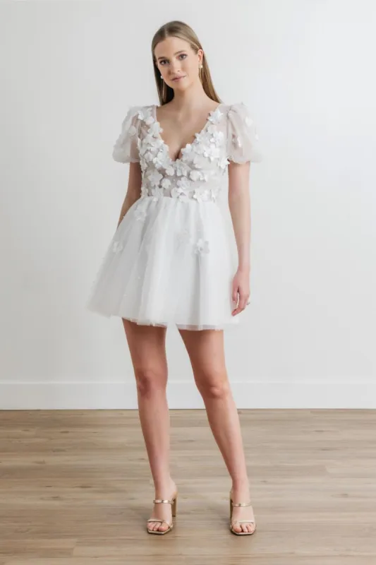 Tulip sold by Modatrova