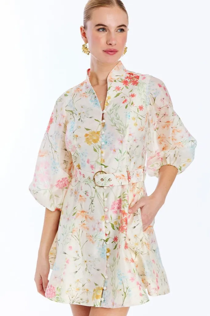 Valencia Mini Dress sold by Modatrova product image thumbnail 2