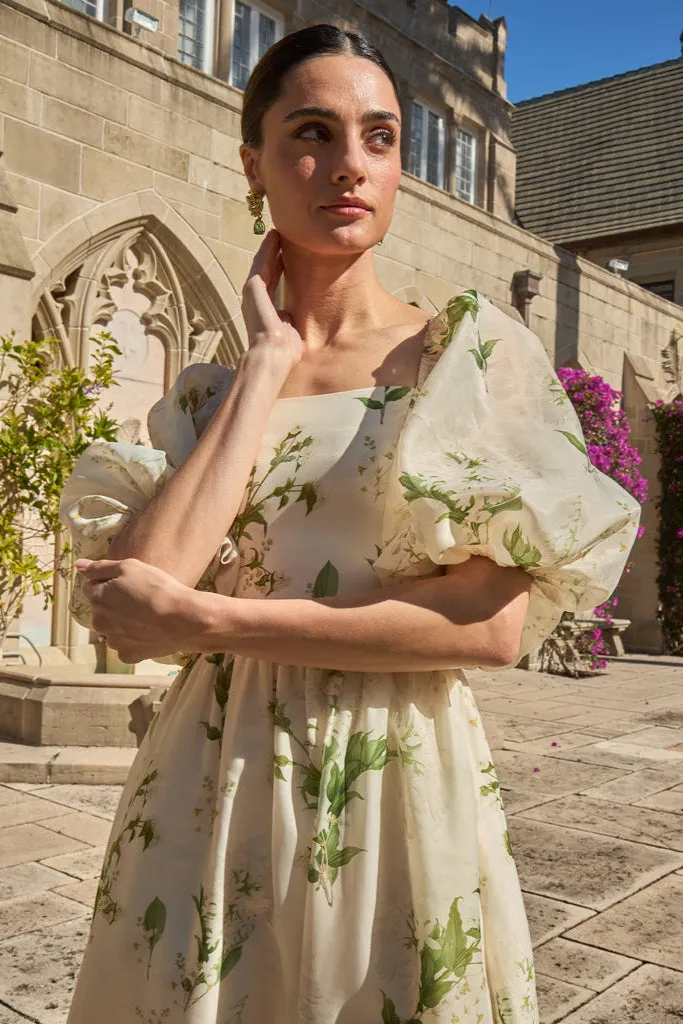 Delphine Midi Dress sold by Modatrova product image thumbnail 2