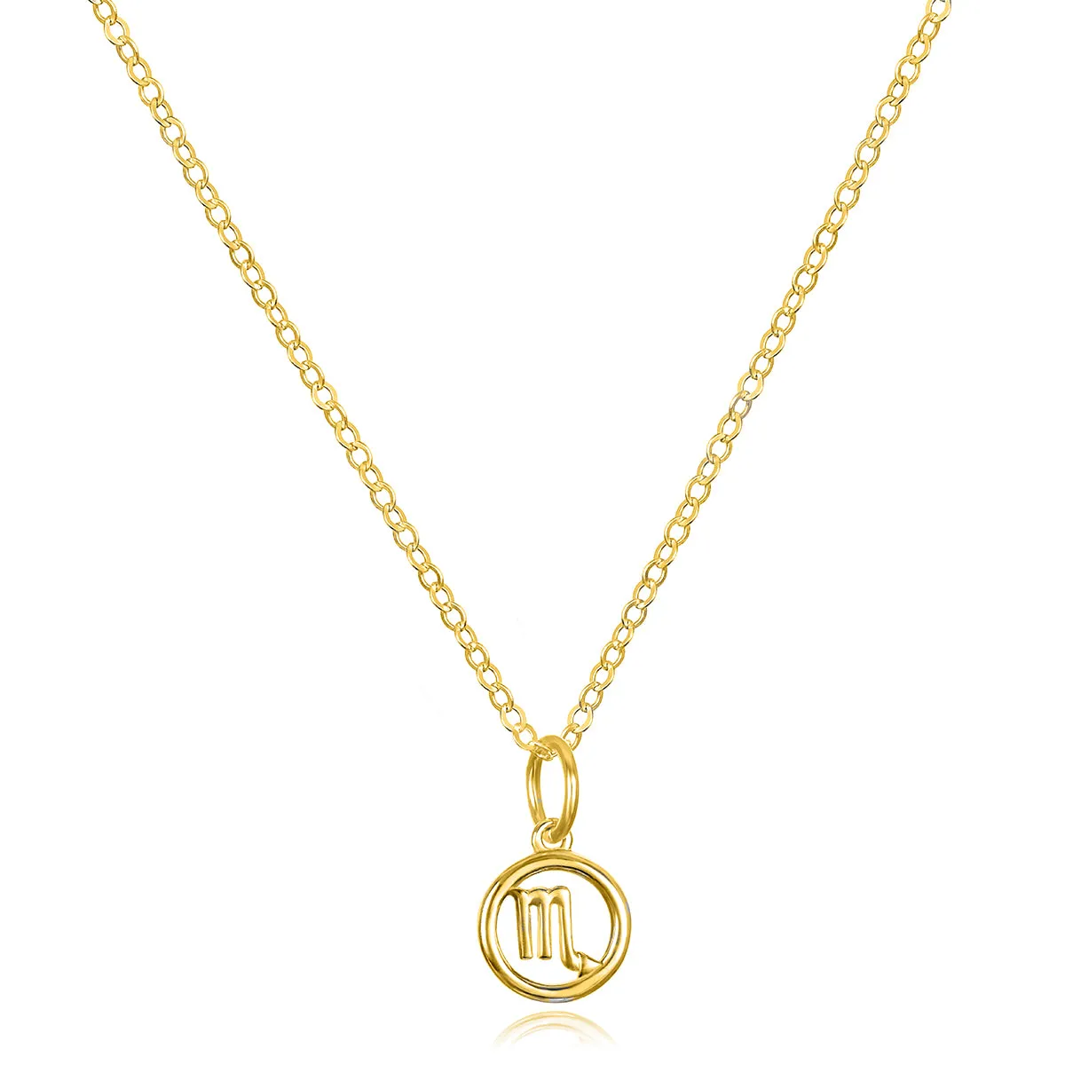 New! 14k Gold Zodiac Charm Necklace - Scorpio sold by Amelia Rose Design