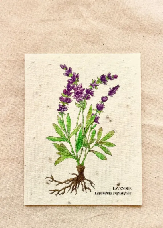 Lavender Greeting Card Plantable Wildflower Herb Seed Card sold by Flora Animalia