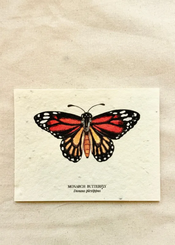 Monarch Butterfly Plantable Wildflower Seed Greeting Card sold by Flora Animalia