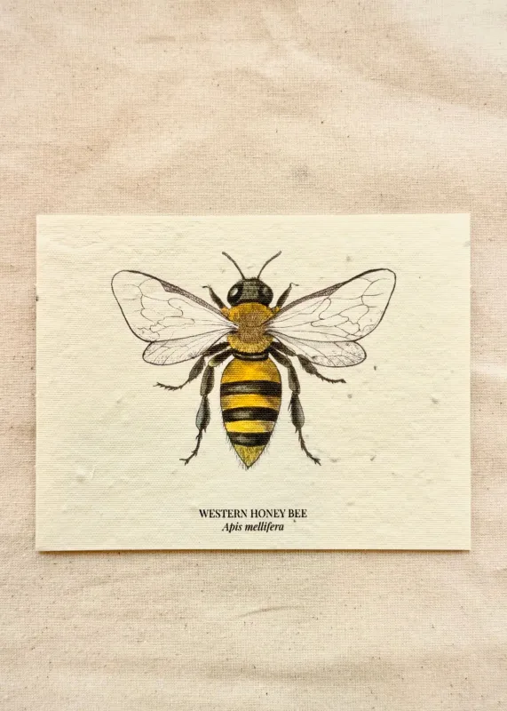 Western Honey Bee Plantable Wildflower Seed Greeting Card sold by Flora Animalia
