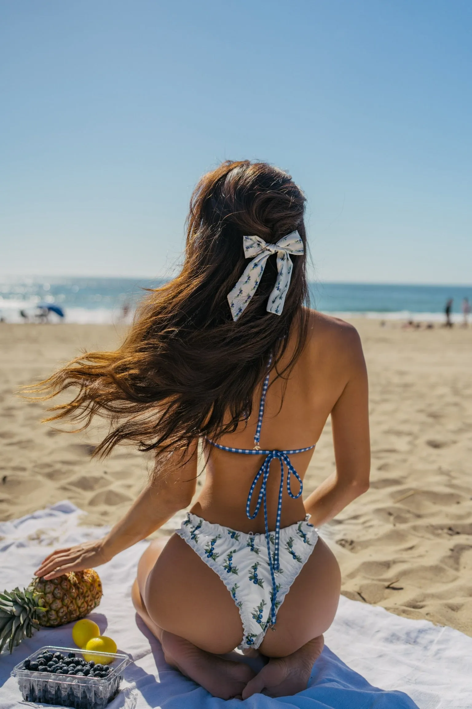 Blueberry Pie Bottoms sold by Ivy Swimwear product image thumbnail 2