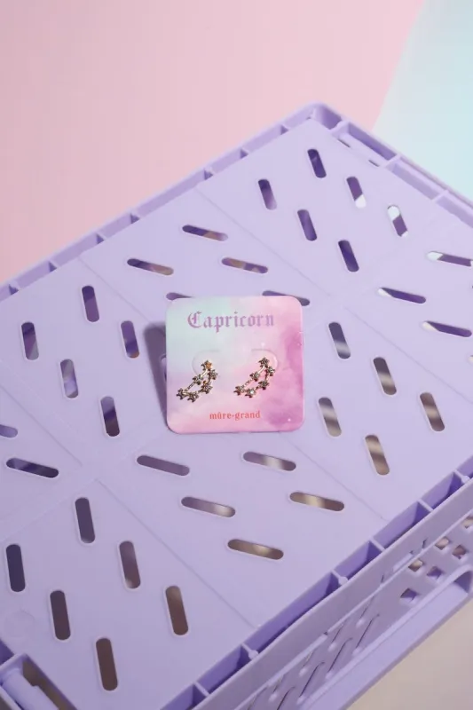 Capricorn Crystal Zodiac Stud Earrings sold by Mulberry and Grand