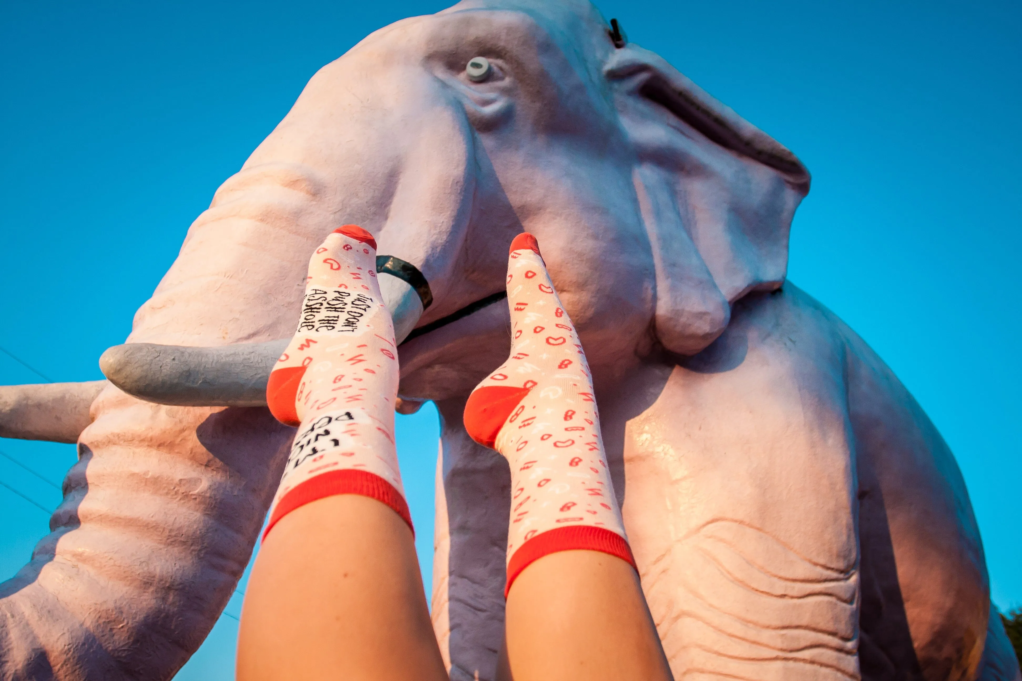 I'm a Nice Person Women's Socks sold by Mulberry and Grand product image thumbnail 5