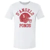 D'Angelo Ponds College Helmet Font sold by 500 Level