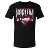 Harlem Globetrotters Cracked Font WHT sold by 500 Level