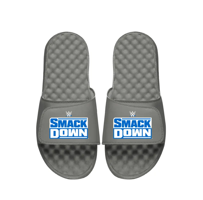 WWE Smackdown Slides made by 500 Level