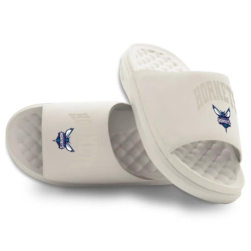 Charlotte Hornets Tonal Pop Motive made by 500 Level