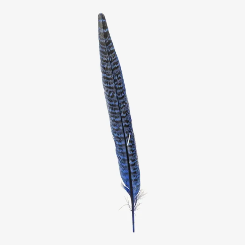 Ringneck | Vivid Hat Feather sold by American Hat Makers