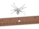 Alilang Silvery Tone Clear Crystal Colored Rhinestones Black Creepy Spider Bug Brooch Pin, Black & Silver sold by Anna-Kaci