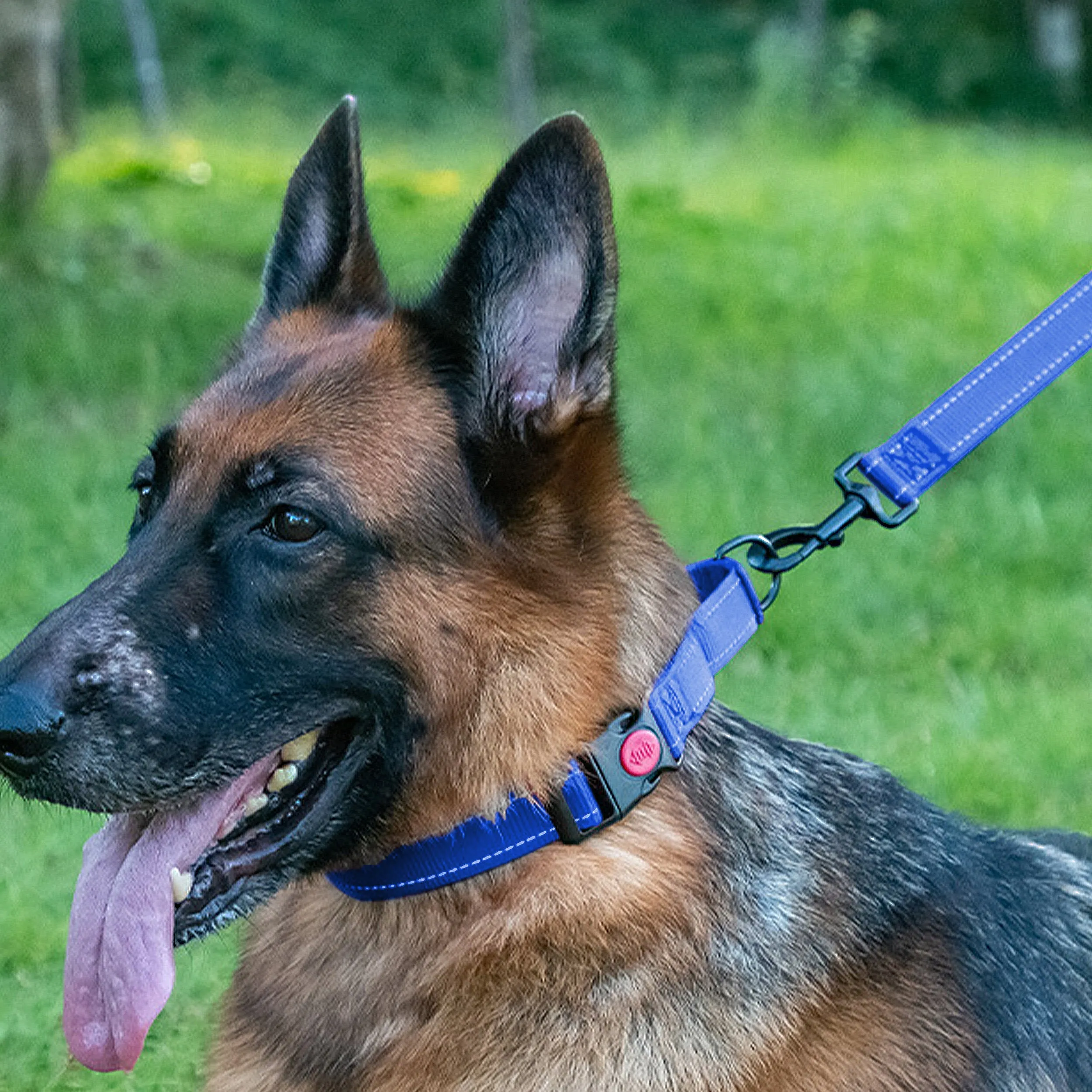 Anna-Kaci Dog Collar Adjustable Reflective Comfort Nylon Pet Collars for All Breeds sold by Anna-Kaci product image thumbnail 4