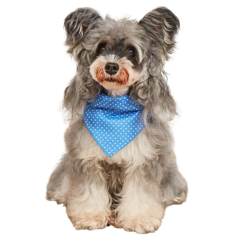 Polka Dot Pet Bandana, Soft Cotton Dotted Scarf Bib for Small Medium Dogs Cats made by Anna-Kaci
