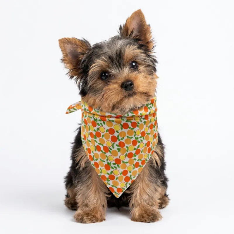 Fruit Print Pet Bandana, Soft Cotton Citrus Pattern Scarf Bib for Small Medium Dogs Cats made by Anna-Kaci