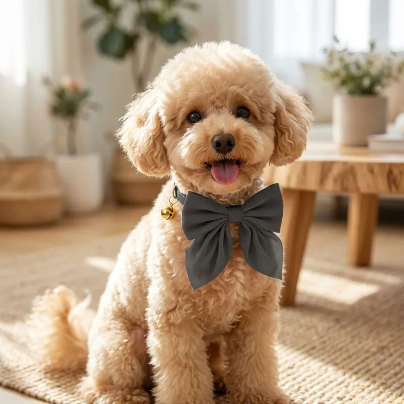 Pet Bow Collar Soft Adjustable Satin Bow Tie with Bell Detail Elegant Neck Accessory made by Anna-Kaci