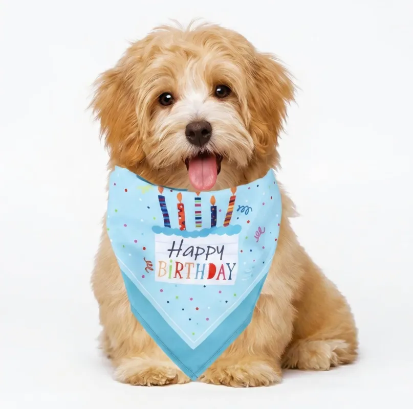 Pet Bandana Collar Soft Adjustable Birthday Print Scarf with Heart Pattern Tie Closure Neckwear made by Anna-Kaci