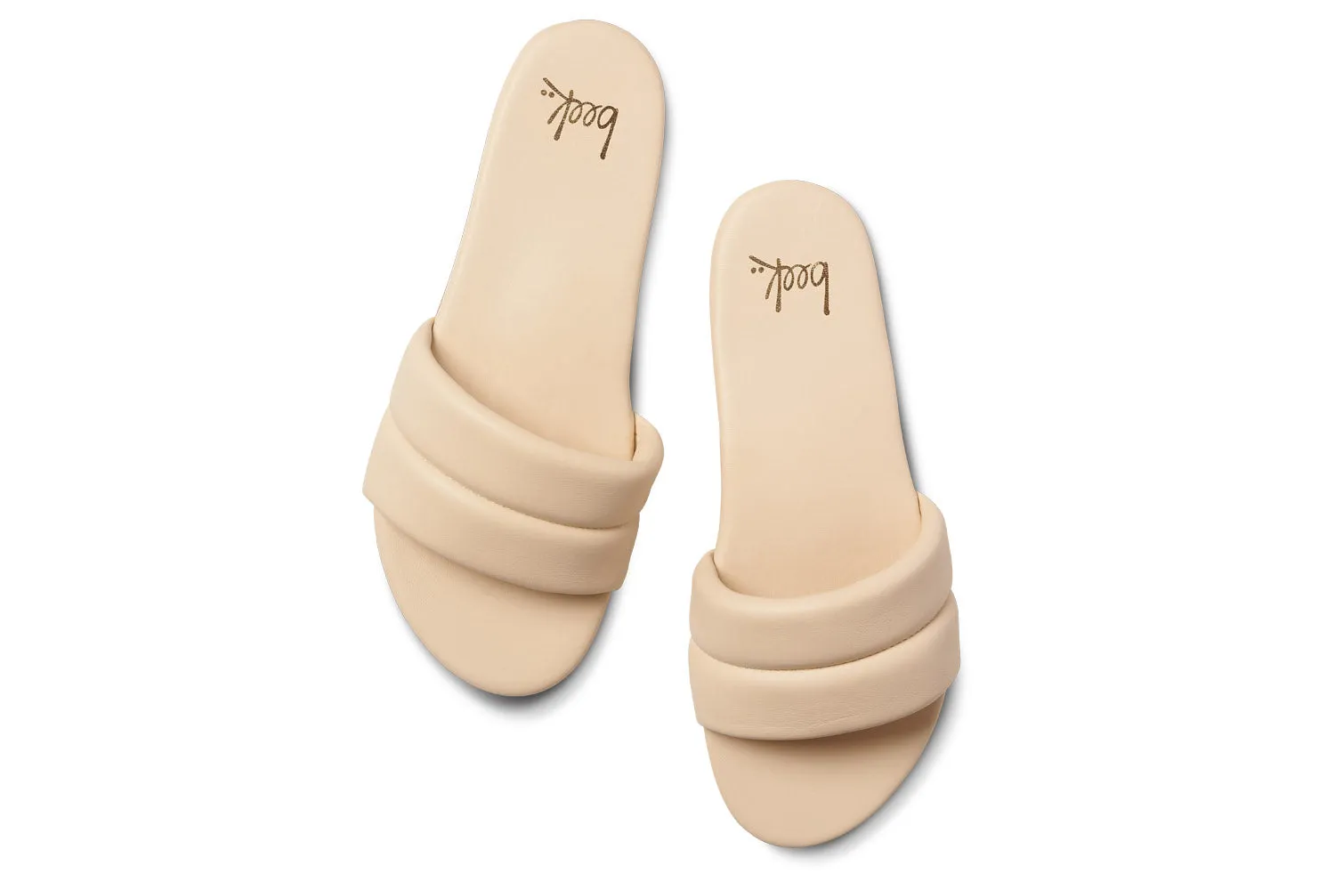 SUGARBIRD - Macadamia sold by beek product image thumbnail 5